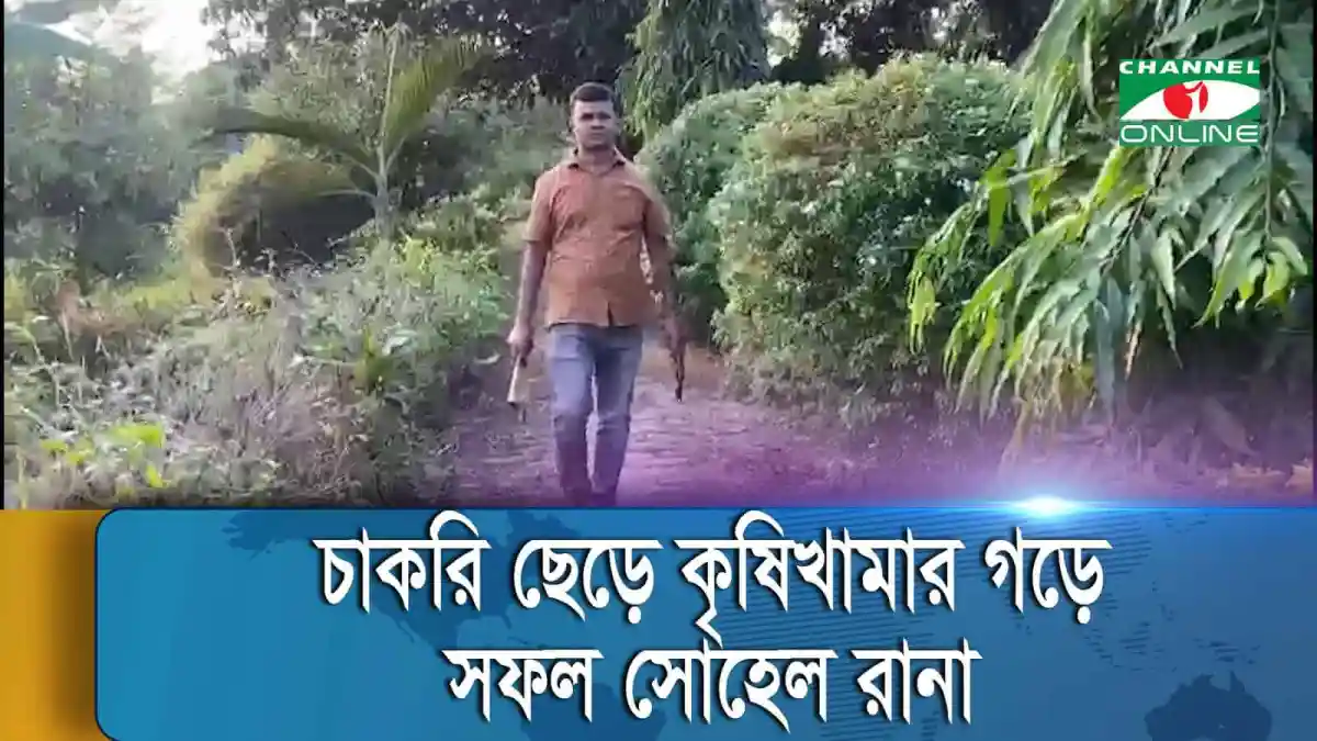 কৃষি মাঠে আধুনিক কৃষি প্রযুক্তি ব্যবহারকারী কৃষক. Channel i News - চ্যানেল আই নিউজ