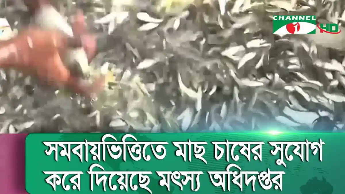 কুড়িগ্রামে সমবায়ভিত্তিতে খাল পুন:খনন ও সংস্কার কাজ চলছে. Channel i News - চ্যানেল আই নিউজ