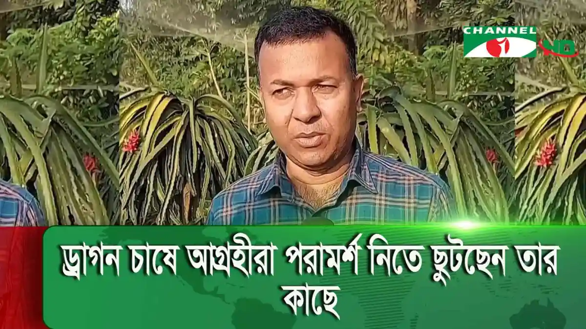 উজ্জ্বল ড্রাগন চাষি, বরগুনায় সফল ড্রাগন উৎপাদন করছেন. Channel i News - চ্যানেল আই নিউজ