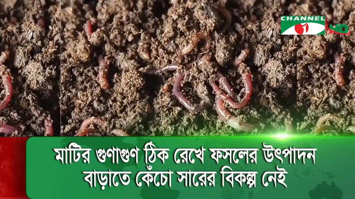 -4 Channel i News - চ্যানেল আই নিউজ