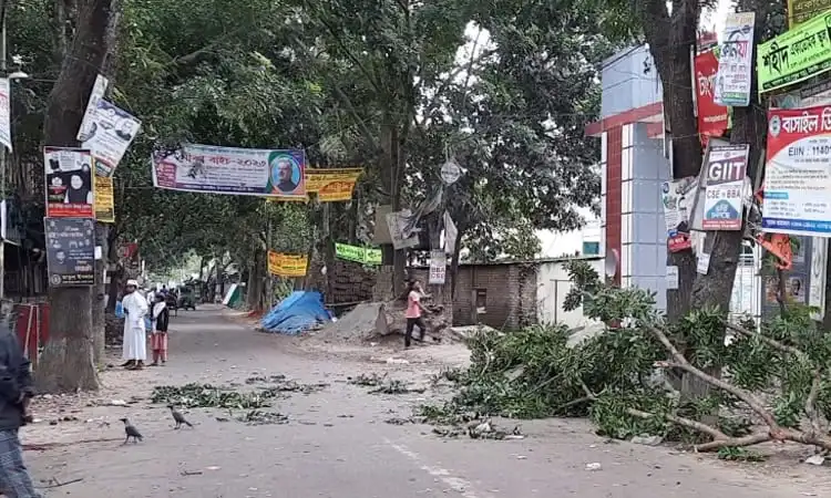 ঘূর্ণিঝড়ের কারণে গাছের ডাল ভেঙে পড়ে রাস্তার উপর, ব্যবসায়ীর মৃত্যু. Channel i News - চ্যানেল আই নিউজ