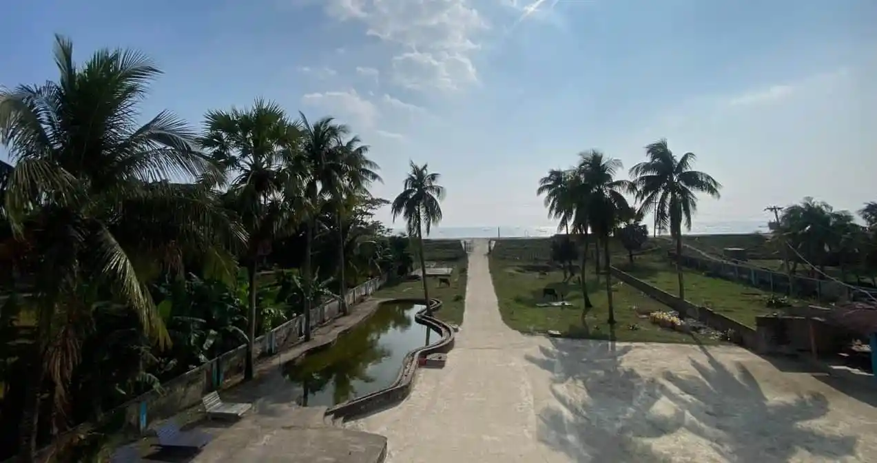 সুন্দর সমুদ্র সৈকত, পাম গাছ, শান্ত পরিবেশের ছবি. Channel i News - চ্যানেল আই নিউজ