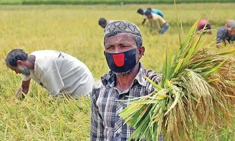 খেলার মাঠে শিশু ও যুবকরা খেলাধুলা করছে, সুন্দর প্রাকৃতিক পরিবেশে. Channel i News - চ্যানেল আই নিউজ