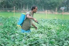 জাপার নেতারা নির্বাচনের পর আলোচনা করছেন, রওশন এরশাদ উপস্থিত. Channel i News - চ্যানেল আই নিউজ
