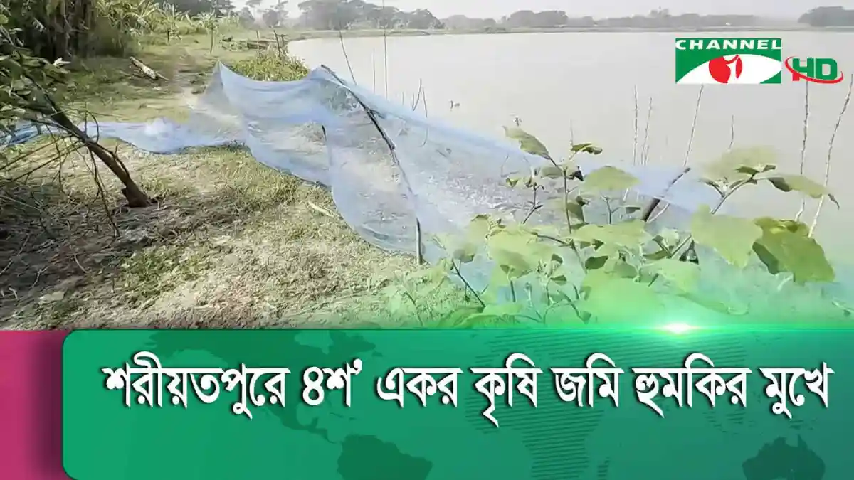 নদীর পানিতে ডুবে গেছে কৃষি জমি, ক্ষতিগ্রস্ত কৃষকরা. Channel i News - চ্যানেল আই নিউজ