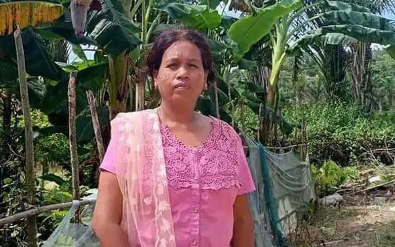 বাড়ির ফুলের বাগানে ঢুকে পড়া পিকআপের ছবি. Channel i News - চ্যানেল আই নিউজ
