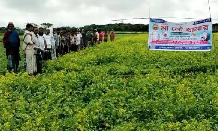 নেত্রকোনার শাহ আলমের মৌচাষের দৃশ্য, শতাধিক মানুষ উপস্থিত. Channel i News - চ্যানেল আই নিউজ