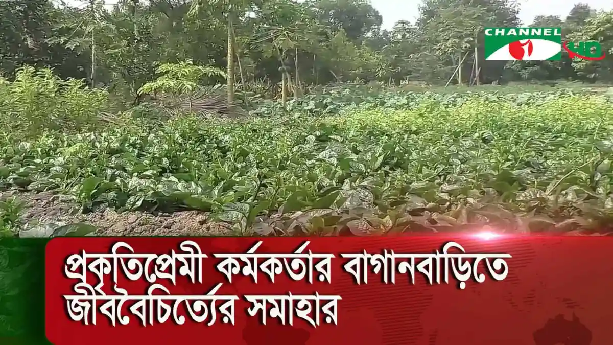 প্রকৃতিপ্রেমী কর্মকর্তার বাগানবাড়িতে জীববৈচিত্র্যের সমাহার. Channel i News - চ্যানেল আই নিউজ