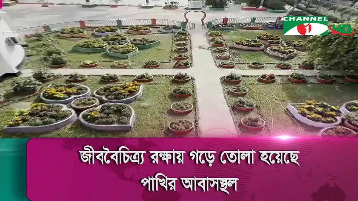 -4 Channel i News - চ্যানেল আই নিউজ