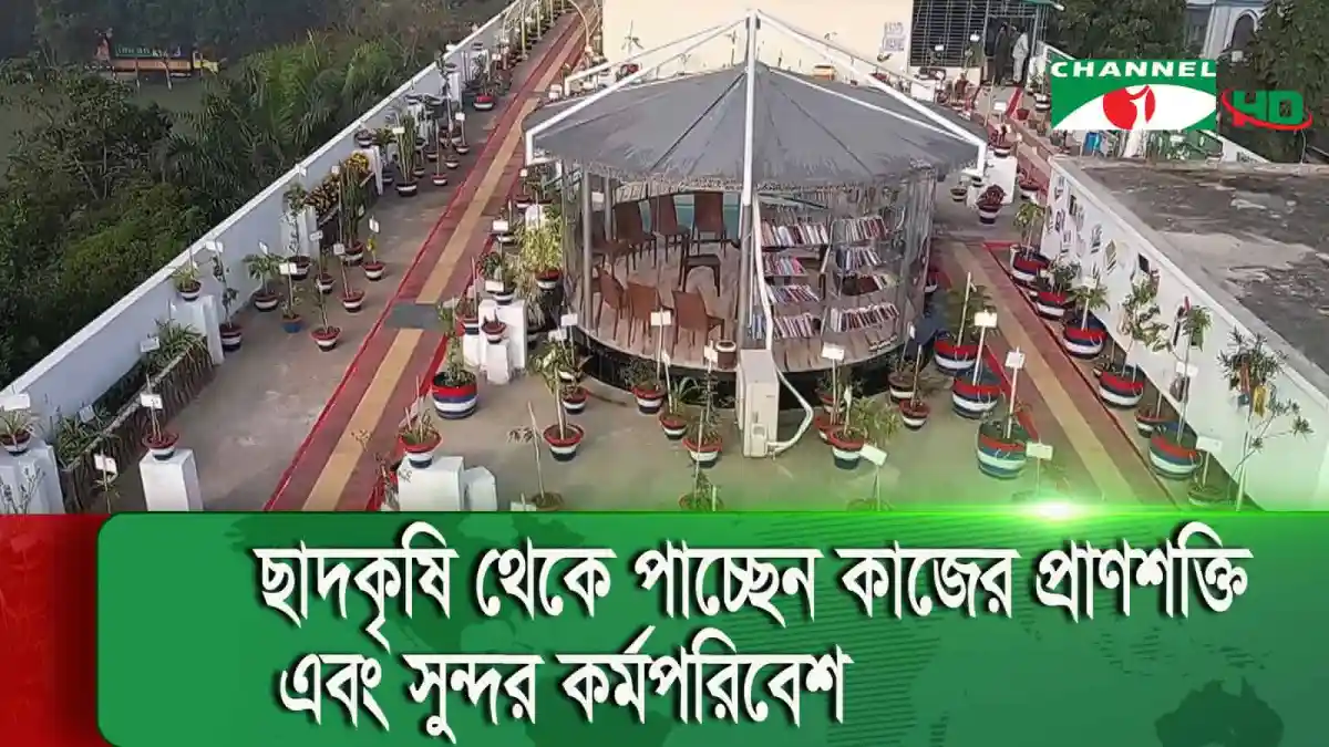 গাছগাছালি দিয়ে সাজানো জেলা প্রশাসন অফিসের সুন্দর পরিবেশ. Channel i News - চ্যানেল আই নিউজ
