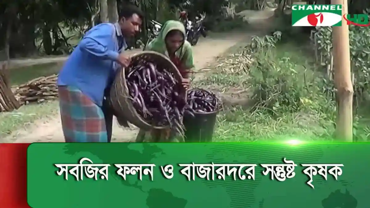 নেত্রকোনায় বেগুনসহ অন্যান্য সবজির ভালো ফলন. Channel i News - চ্যানেল আই নিউজ