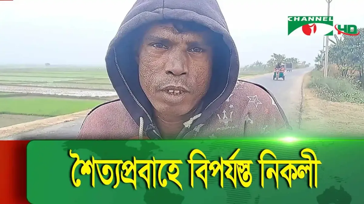 শীতপ্রবাহে কিশোরগঞ্জের নিকলীতে মানুষ ঠাণ্ডার সাথে সংগ্রাম করছে. Channel i News - চ্যানেল আই নিউজ