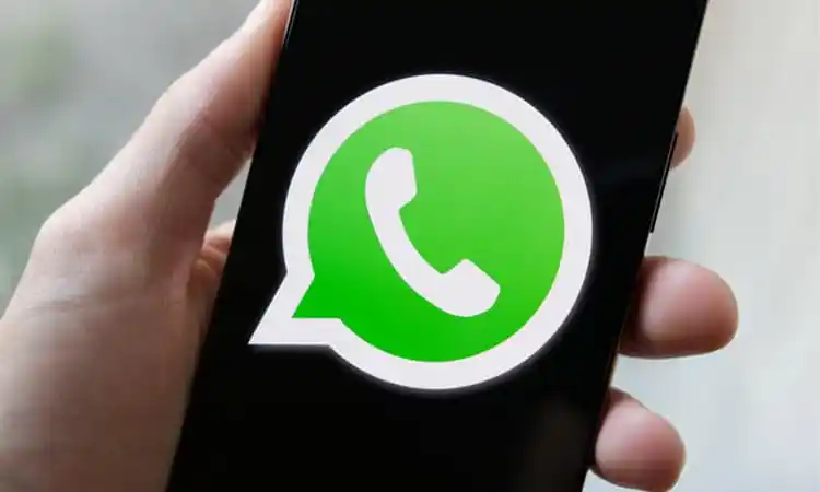 WhatsApp লোগো সহ মোবাইল ফোন, নিরাপত্তা পরামর্শের জন্য উপযুক্ত ছবি. Channel i News - চ্যানেল আই নিউজ