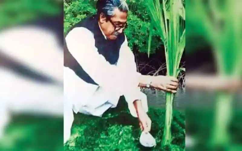 বঙ্গবন্ধুর কৃষি উন্নয়নের জন্য নতুন প্রযুক্তি ব্যবহার. Channel i News - চ্যানেল আই নিউজ