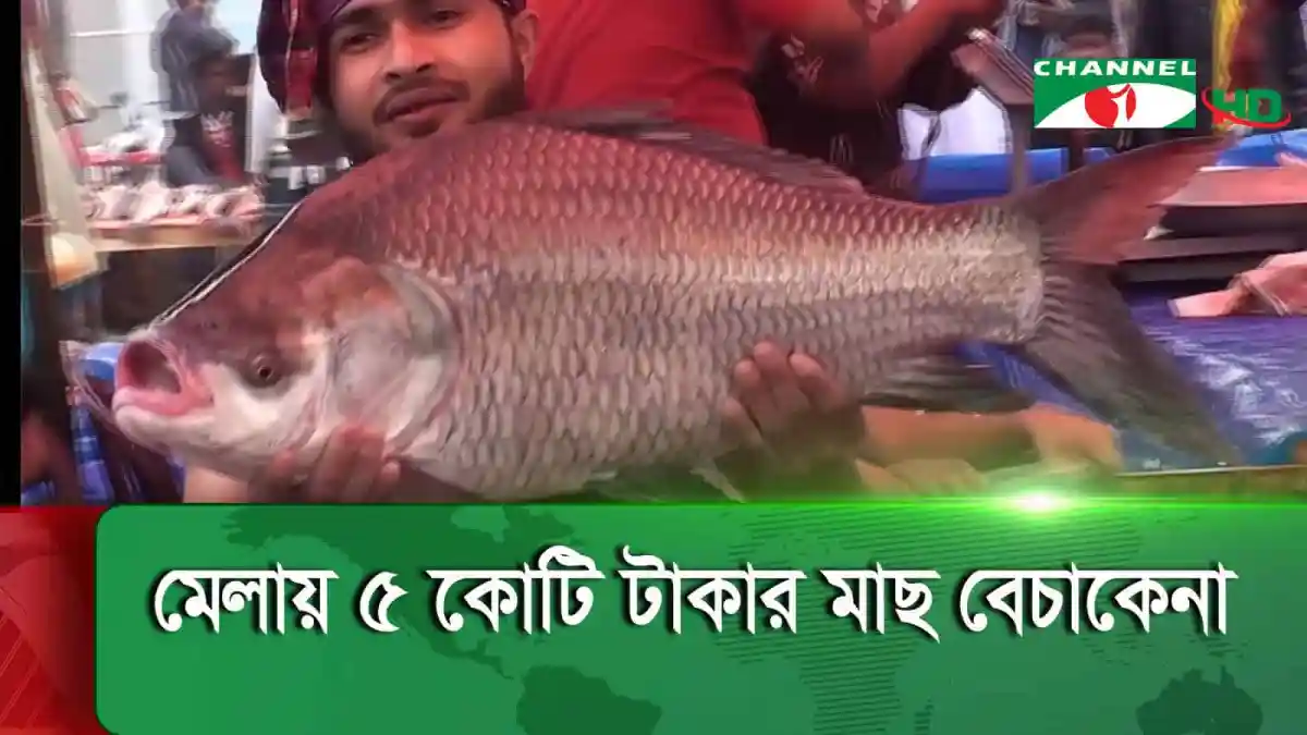 -4 Channel i News - চ্যানেল আই নিউজ