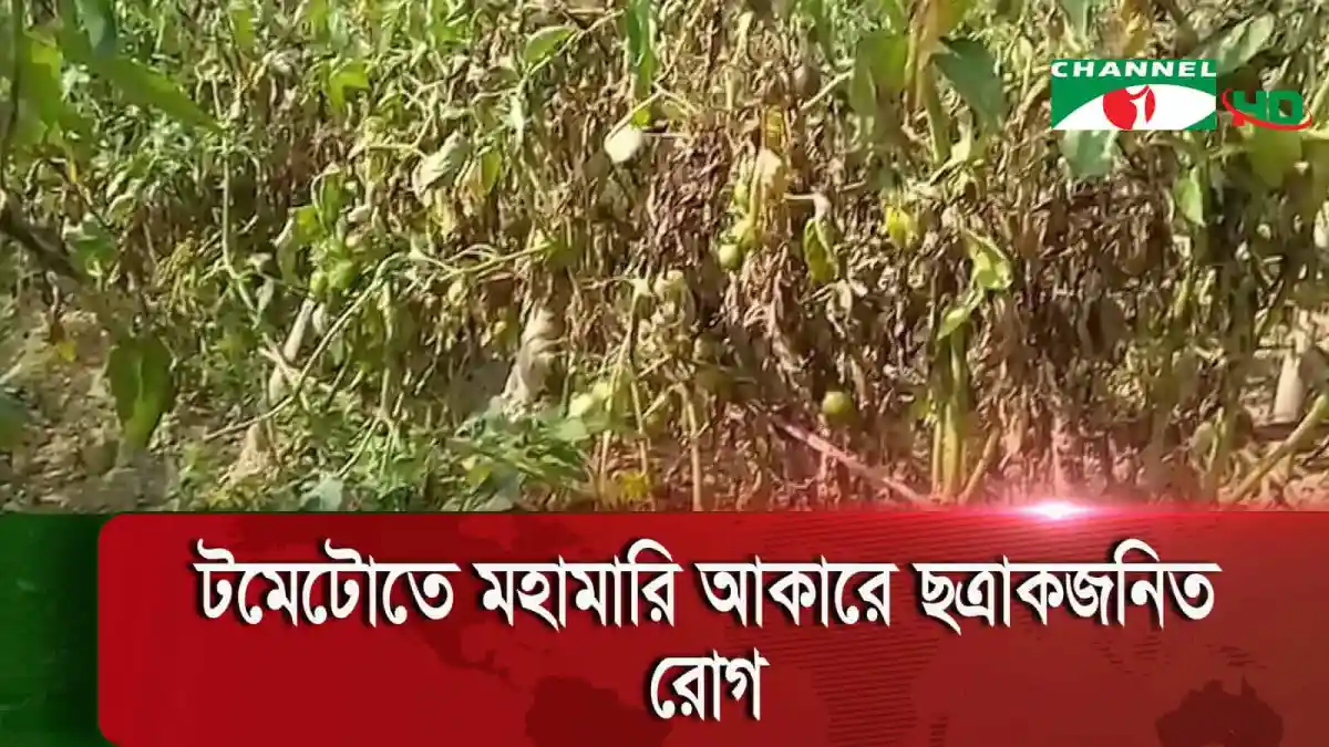 -4 Channel i News - চ্যানেল আই নিউজ
