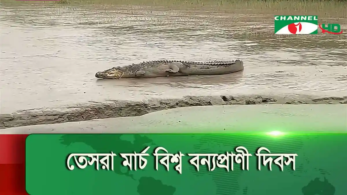 -4 Channel i News - চ্যানেল আই নিউজ