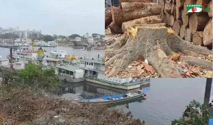 শীতলক্ষ্যা নদীর তীরে গাছ কাটা ও নদীর দৃশ্য. Channel i News - চ্যানেল আই নিউজ