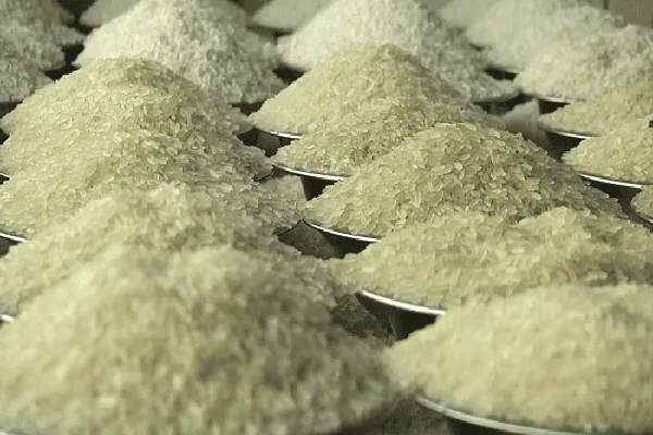 চালের বস্তা ও পাত্রে চালের ধান, খাদ্য নিরাপত্তার জন্য প্রস্তুত. Channel i News - চ্যানেল আই নিউজ