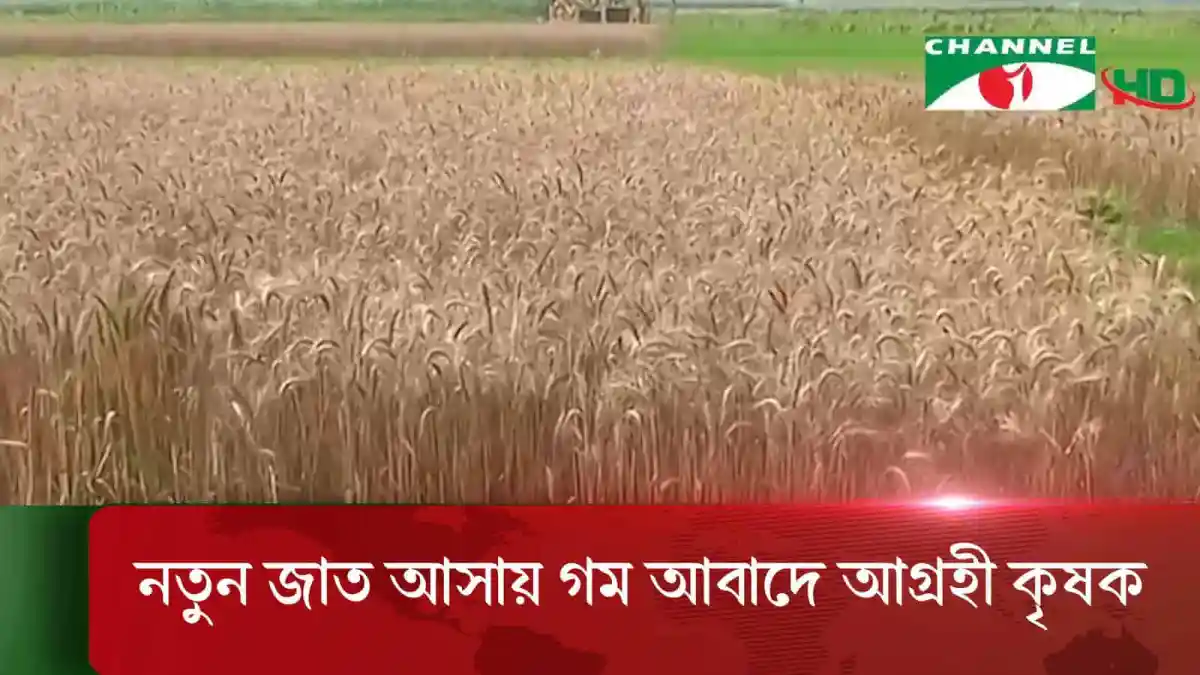 -4 Channel i News - চ্যানেল আই নিউজ