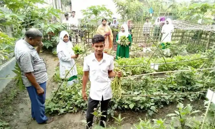 কৃষি প্রকল্পে যুবকদের অংশগ্রহণ, সবজি ও ফলের বাগান. Channel i News - চ্যানেল আই নিউজ