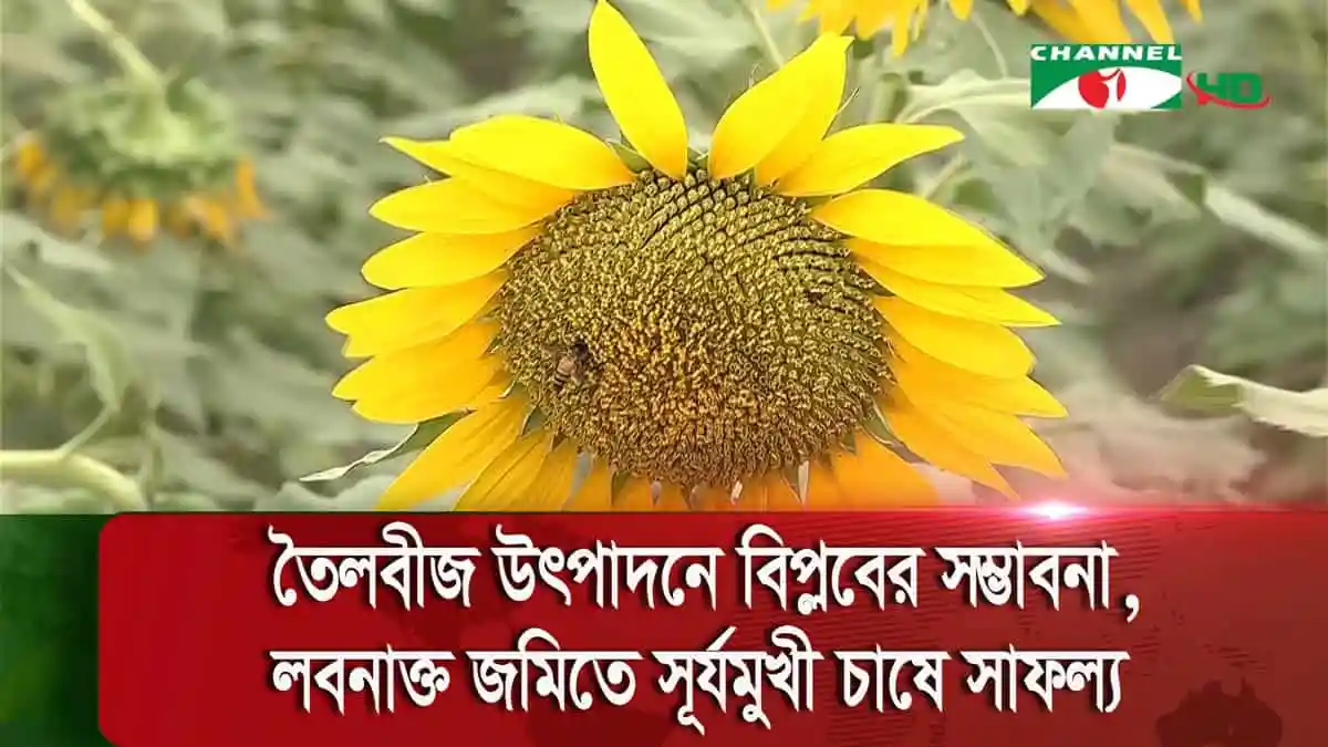-4 Channel i News - চ্যানেল আই নিউজ