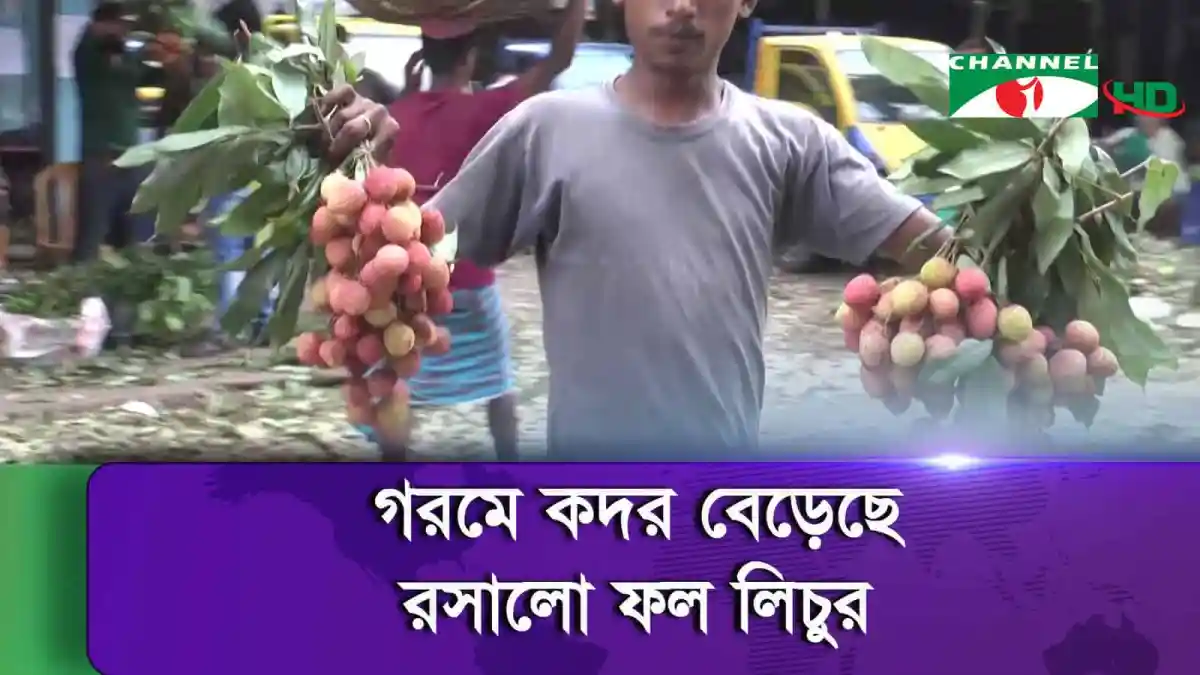বাজারে কদর বেড়েছে রসালো ফল লিচুর, কৃষকেরা বিক্রি করছেন।. Channel i News - চ্যানেল আই নিউজ