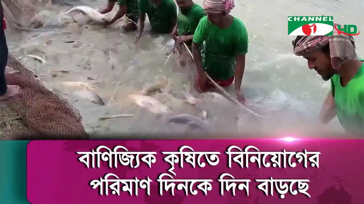 বন্যার পানিতে মাছ ধরা, চ্যানেল আই অনলাইন. Channel i News - চ্যানেল আই নিউজ