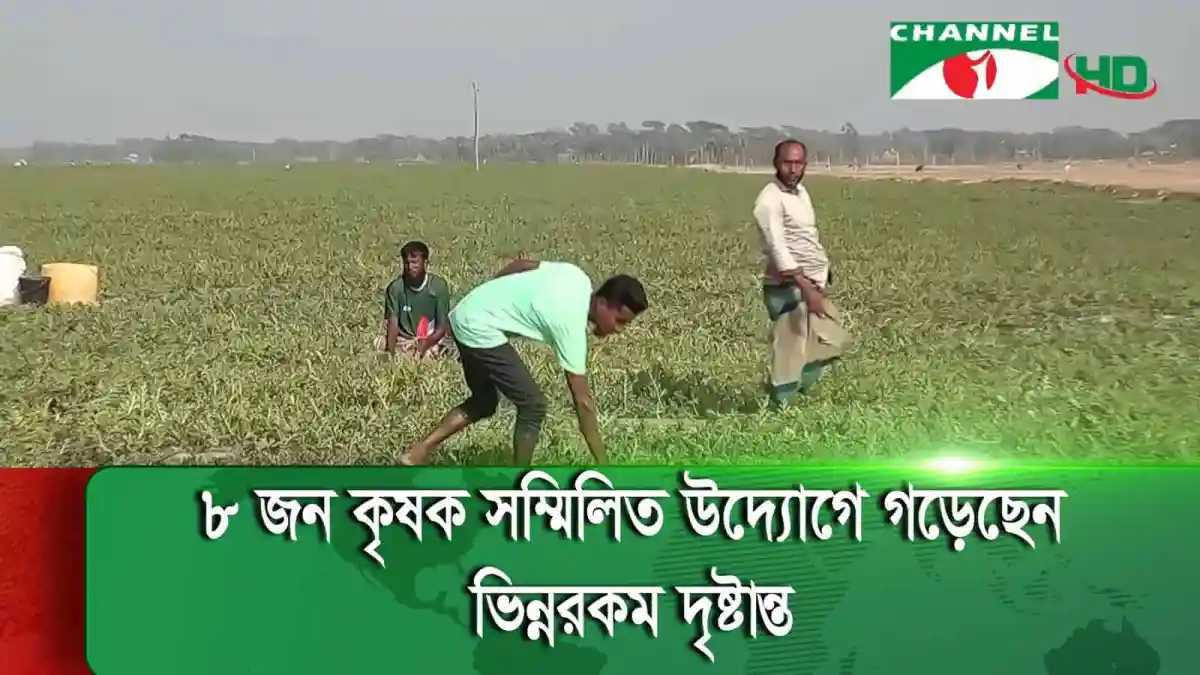 বিরূপ প্রকৃতিতে কৃষকরা ফসলের জন্য কাজ করছেন. Channel i News - চ্যানেল আই নিউজ