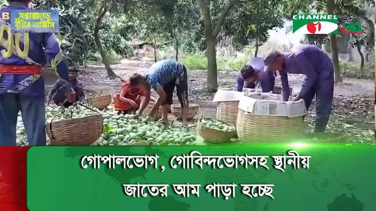 -4 Channel i News - চ্যানেল আই নিউজ