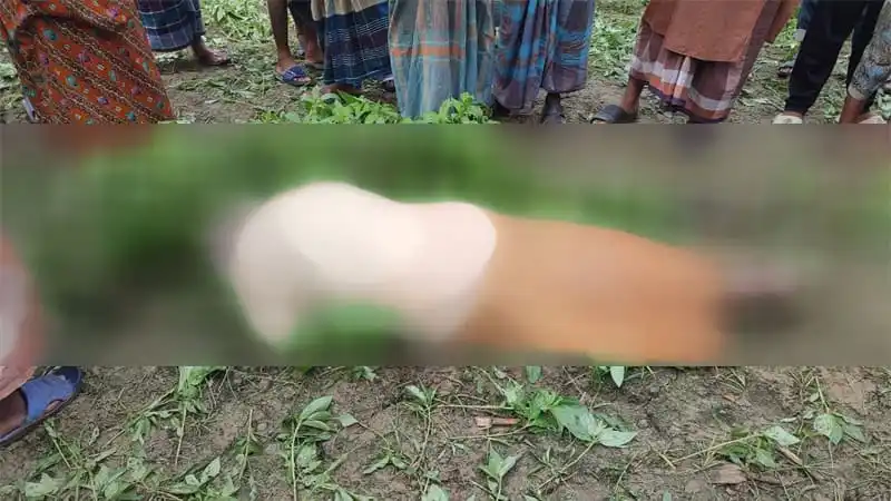 পাটক্ষেতে হনুমান তাড়াতে গিয়ে বৃদ্ধের মৃত্যু, গ্রামে শোকের ছায়া. Channel i News - চ্যানেল আই নিউজ