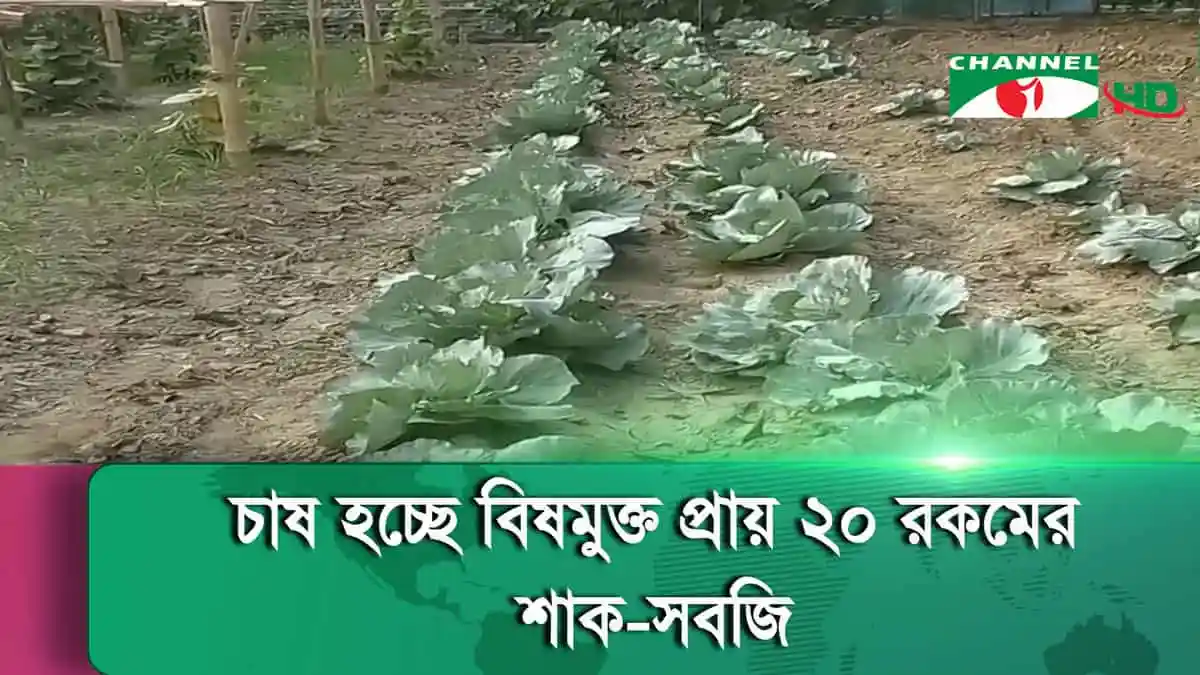 -4 Channel i News - চ্যানেল আই নিউজ