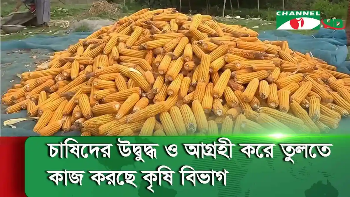 -4 Channel i News - চ্যানেল আই নিউজ