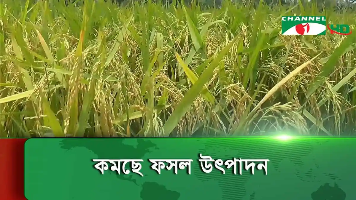 -4 Channel i News - চ্যানেল আই নিউজ
