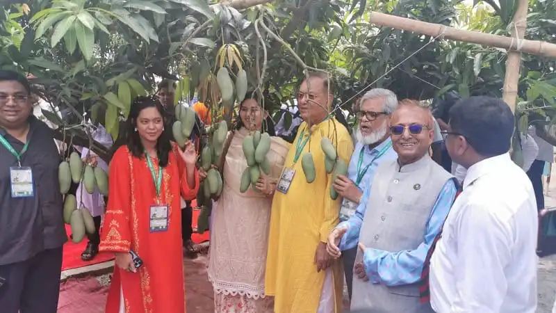 বিশ্বমানের আমের জন্য চাঁপাইনবাবগঞ্জের কৃষি মন্ত্রণালয় কাজ করছে. Channel i News - চ্যানেল আই নিউজ