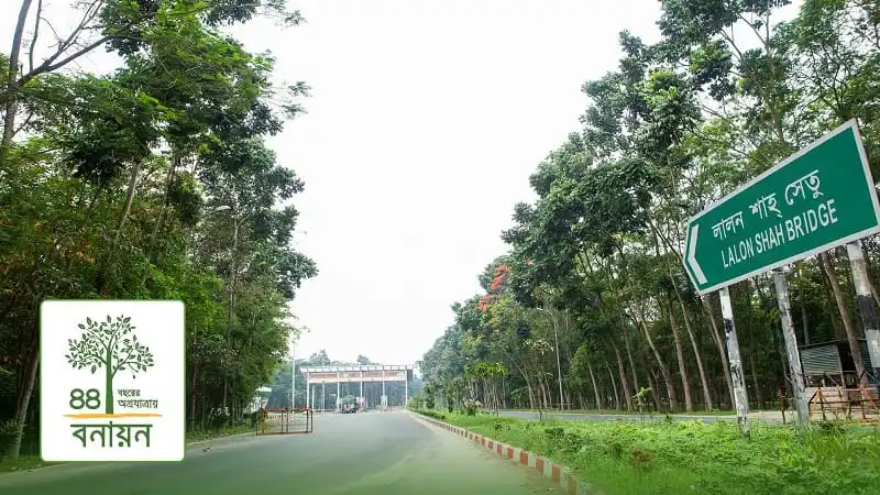 লালন শাহ ব্রিজের কাছে বনায়ন প্রকল্পের গাছপালা ও রাস্তা. Channel i News - চ্যানেল আই নিউজ