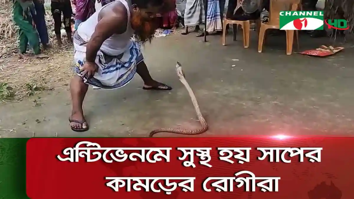 সাপের উপরে বসে একজন ব্যক্তি, চ্যানেল আই অনলাইন. Channel i News - চ্যানেল আই নিউজ