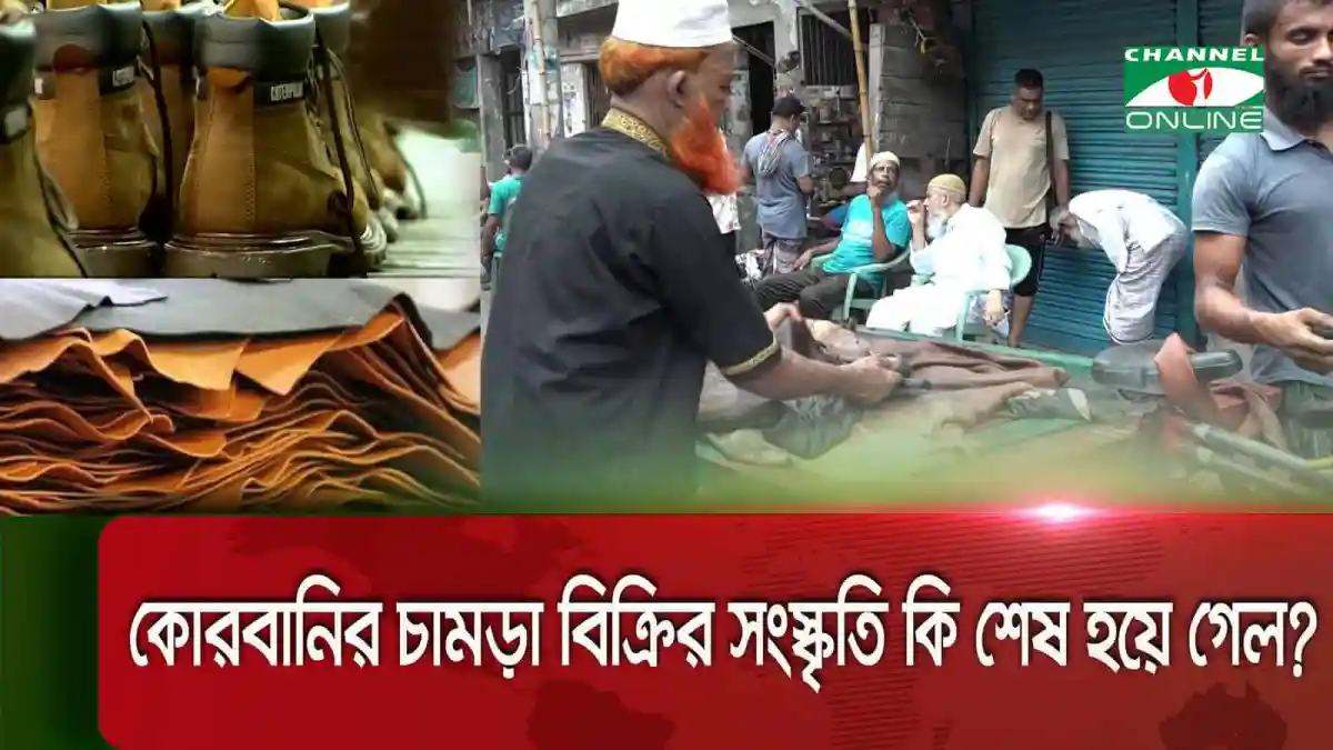 কোরবানির চামড়া বিক্রির পরিবর্তন ও বাজারের পরিস্থিতি. Channel i News - চ্যানেল আই নিউজ