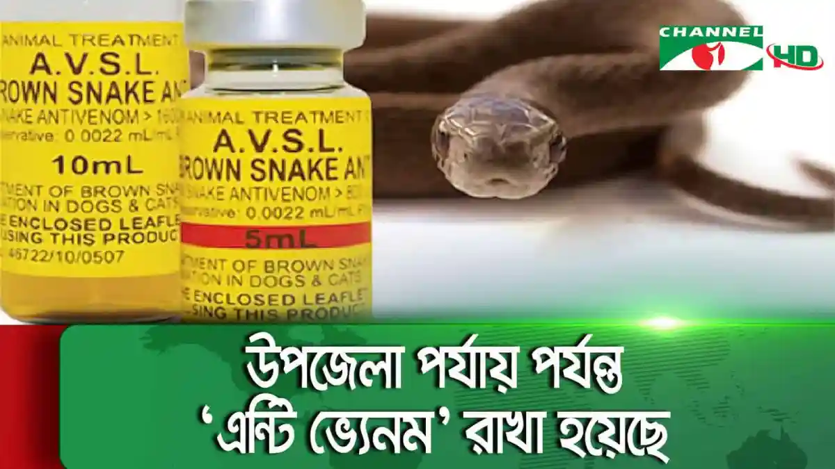 বিষধর সাপের কামড়ে মৃত্যুর ঝুঁকি নিয়ে সচেতনতা বার্তা. Channel i News - চ্যানেল আই নিউজ