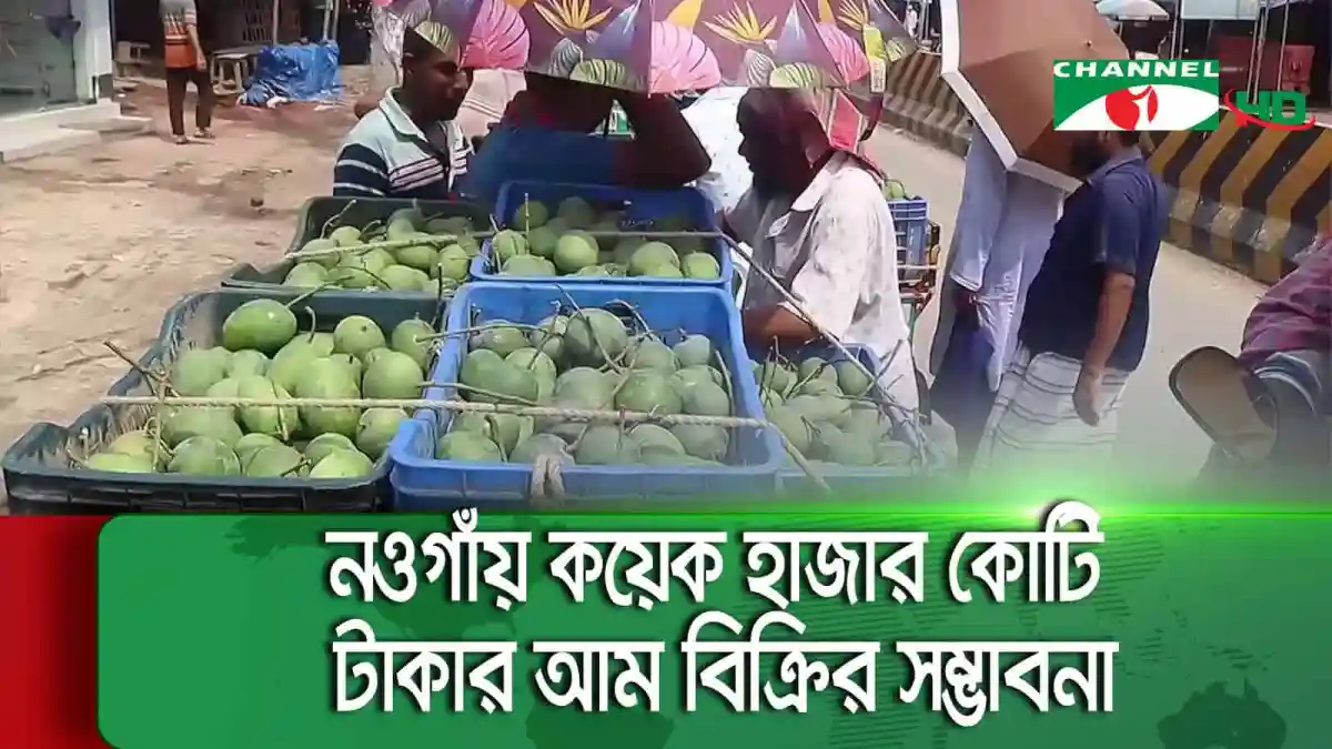 বাংলাদেশের বাজারে আমের চাহিদা বৃদ্ধি, চ্যানেল আই অনলাইন. Channel i News - চ্যানেল আই নিউজ