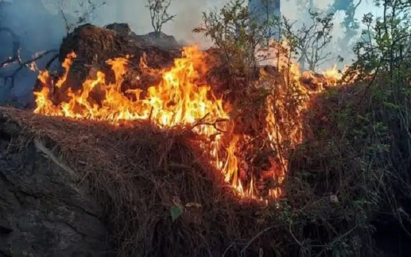 জম্মু-কাশ্মীরের বনাঞ্চলে ভয়াবহ অগ্নিকাণ্ড, নিয়ন্ত্রণে চেষ্টা চলছে. Channel i News - চ্যানেল আই নিউজ