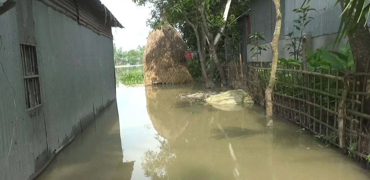 লালমনিরহাটে তিস্তার পানিতে নিম্নাঞ্চল প্লাবিত, জলাবদ্ধতা সৃষ্টি. Channel i News - চ্যানেল আই নিউজ