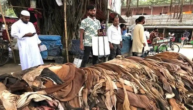 ঢাকায় গরুর চামড়া বিক্রির জন্য প্রস্তুত করা হচ্ছে. Channel i News - চ্যানেল আই নিউজ