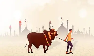 পশু কোরবানি ও ঈদ উদযাপন, পশু ও মানুষ, মুসলিম ধর্মীয় অনুষ্ঠান. Channel i News - চ্যানেল আই নিউজ