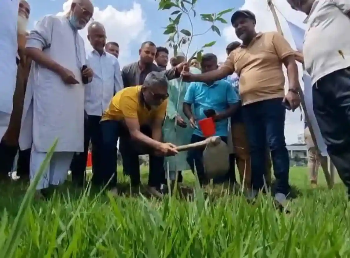 এস এম কামাল গাছের চারা রোপণে অংশগ্রহণ করছেন. Channel i News - চ্যানেল আই নিউজ