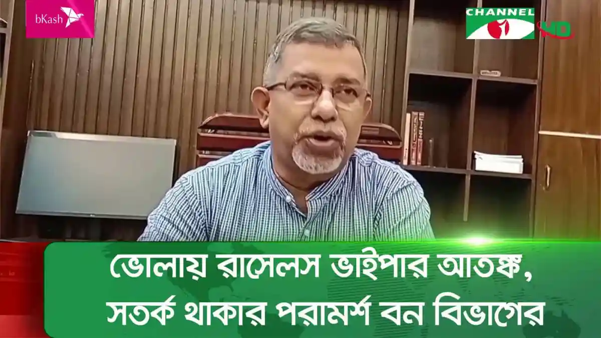 বন বিভাগের সতর্কতা ও রাসেলস ভাইপার বিষাক্ত সাপের ছবি. Channel i News - চ্যানেল আই নিউজ