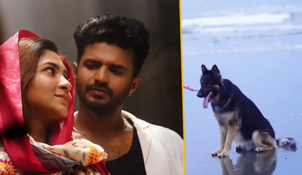 প্রেম-বিচ্ছেদের গল্পে স্পর্শিয়া ও তার প্রেমিকের ছবি, কুকুরের সাথে সমুদ্র সৈকত. Channel i News - চ্যানেল আই নিউজ