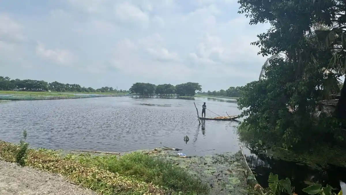 নদীতে মাছ ধরা একজন ব্যক্তি, প্রকৃতি ও জলজ জীবনের দৃশ্য. Channel i News - চ্যানেল আই নিউজ