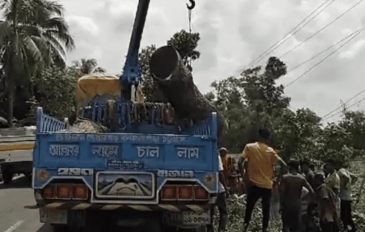 বৈদ্যুতিক তার কাটা ও শ্রমিকদের কাজের দৃশ্য. Channel i News - চ্যানেল আই নিউজ