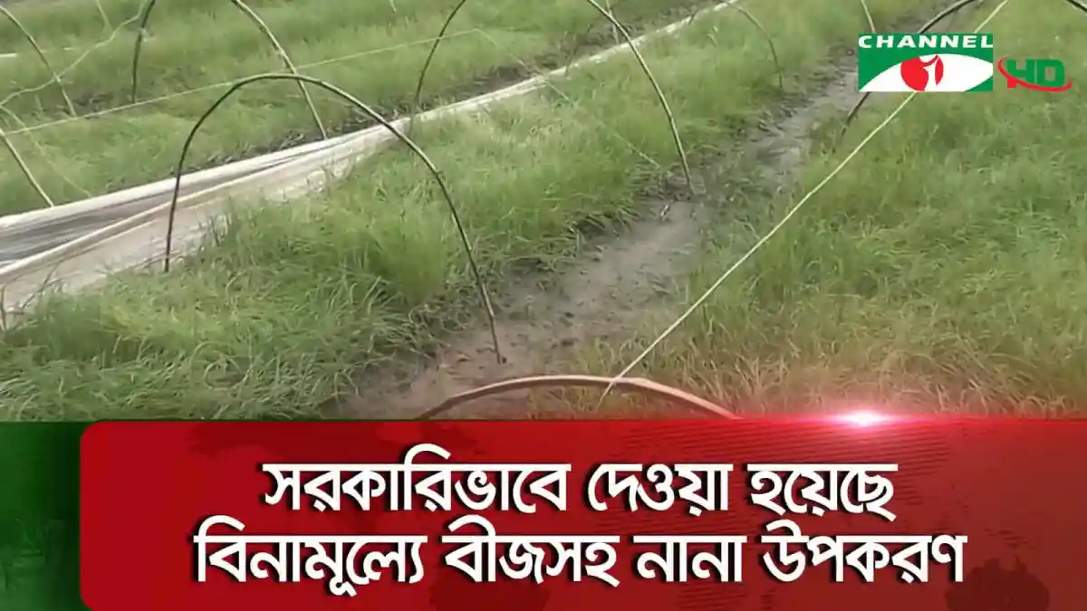 -4 Channel i News - চ্যানেল আই নিউজ